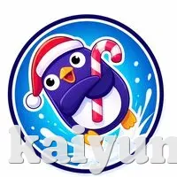 安全登录器